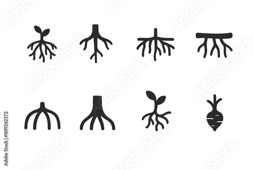 Root System Icons. Solid, filled icon set of root system types: fibrous roots, taproot, adventitious roots, aerial roots, prop