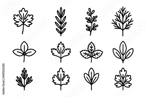 Herb Sprig Icons. Outline icon set of garnish sprig: parsley sprig, rosemary sprig, thyme sprig, dill sprig,