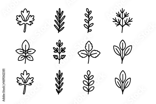 Herb Sprig Icons. Outline icon set of garnish sprig: parsley sprig, rosemary sprig, thyme sprig, dill sprig,