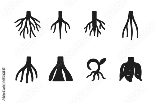 Root System Icons. Solid, filled icon set of root system types: fibrous roots, taproot, adventitious roots, aerial roots, prop