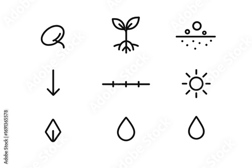 Root Growth Icons. Outline icon set of root growth: seed germination, sprout, root hairs, soil particles,