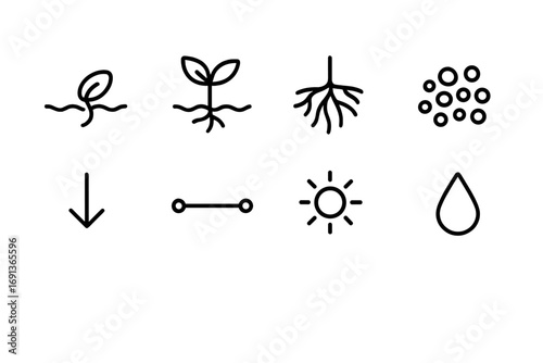 Root Growth Icons. Outline icon set of root growth: seed germination, sprout, root hairs, soil particles,