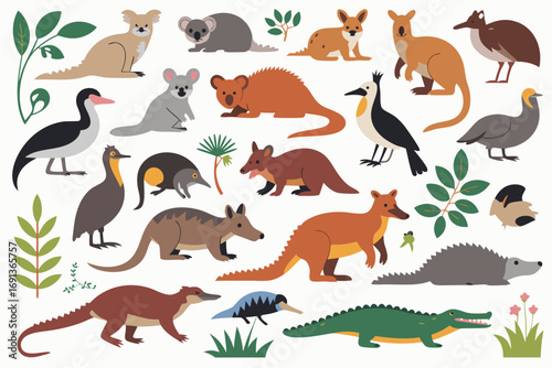A large collection of iconic Australian native animals in a simple flat vector style. Set of cute wildlife characters isolated on a white background