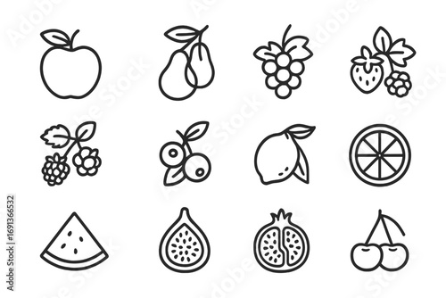 Fruit Icon Grid. Outline icon set of nature vibe package design with fruit plants: apple with leaf, pear branch, grape cluster,