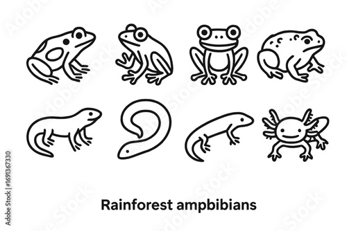 Rainforest Amphibians Icons. Outline icon set of Rainforest amphibians: poison dart frog, tree frog, glass