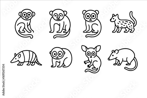 Nocturnal Animals Icons. Outline icon set of Rainforest nocturnal animals: owl monkey, kinkajou, night monkey,