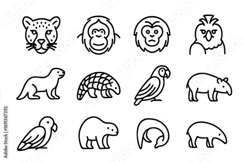 Rainforest Species Icons. Outline icon set of Rainforest endangered species: jaguar, orangutan, golden lion