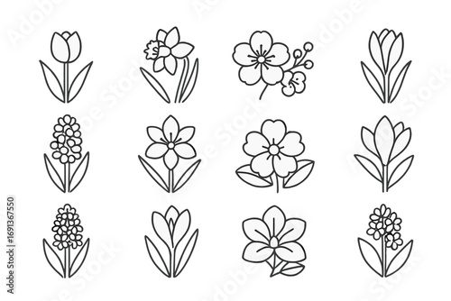Spring Flower Icons. Outline icon set of Drawing spring flowers: tulip, daffodil, cherry blossom, crocus,
