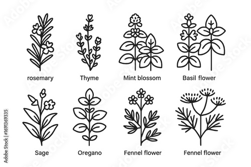 Herbal Flower Icons. Outline icon set of Flowering herbs: rosemary, thyme, mint blossom, basil flower, sage,