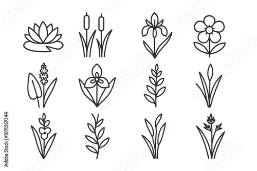 Wetland Wildflower Icons. Outline icon set of Wetland wildflowers: water lily, cattail, iris, marsh marigold,