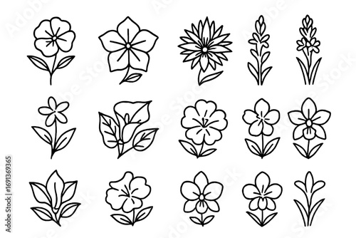 Night-Blooming Flowers Icons. Outline icon set of Night-blooming flowers: evening primrose, moonflower,
