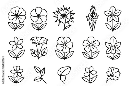 Night-Blooming Flowers Icons. Outline icon set of Night-blooming flowers: evening primrose, moonflower,