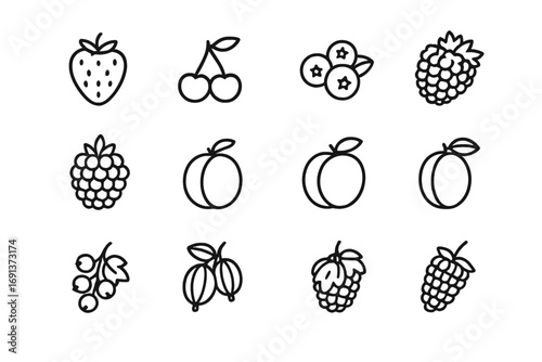 June Fruit Icons. Outline icon set of June fruit harvest: strawberries, cherries, blueberries, raspberries, blackberries, apricots