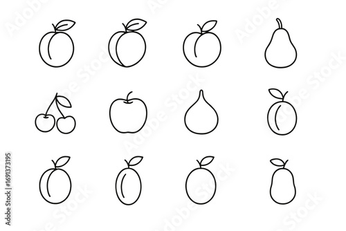 June Orchard Fruits. Outline icon set of June orchard fruits: apricots, peaches, nectarines, plums, cherries, early apples, figs,