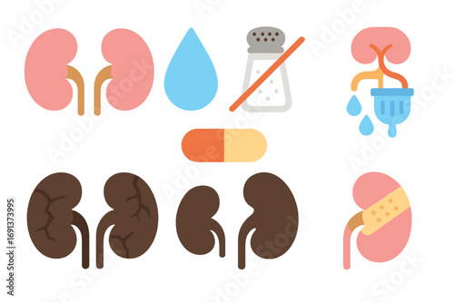 Kidney Health Icons. Flat vector mini-illustrations Healthy vs. unhealthy kidneys in colors children's illustrations: pink kidney