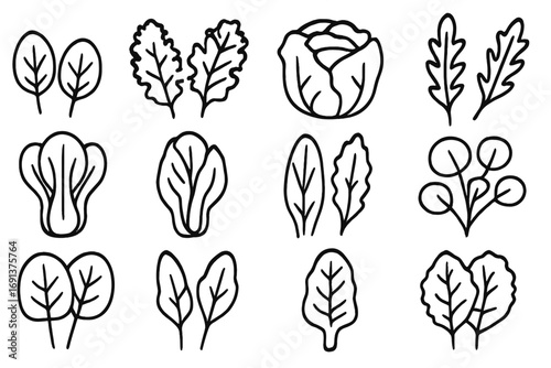 Leafy Greens Icons. Outline icon set of summer leafy greens: spinach leaves, kale leaves, lettuce head, arugula leaves, bok choy,