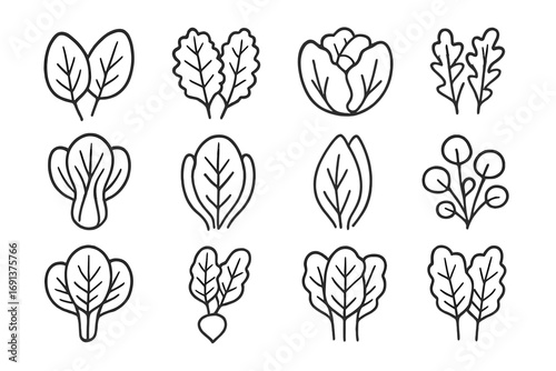Leafy Greens Icons. Outline icon set of summer leafy greens: spinach leaves, kale leaves, lettuce head, arugula leaves, bok choy,