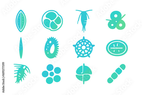 Marine Microscopy Icons. Gradient icons set of marine microscopy structures: diatom frustule, foraminifera shell, copepod antenna,