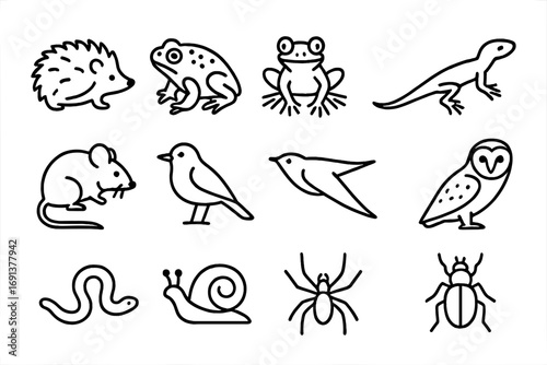 Meadow Wildlife Icons. Outline icon set of Meadow wildlife allies: hedgehog, toad, tree frog, lizard, field mouse, songbird,