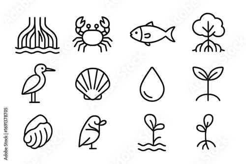 Mangrove Ecosystem Icons. Outline icon set of mangrove ecosystems: mangrove roots, crab, fish, mangrove tree,