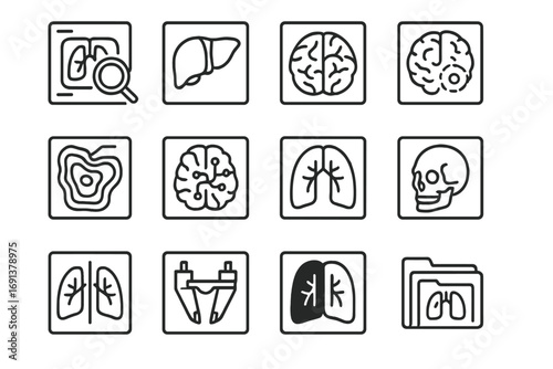 Medical Icons Set. Outline icon set of Medical image analysis: magnifying glass on scan, segmented organ diagram, cross-section