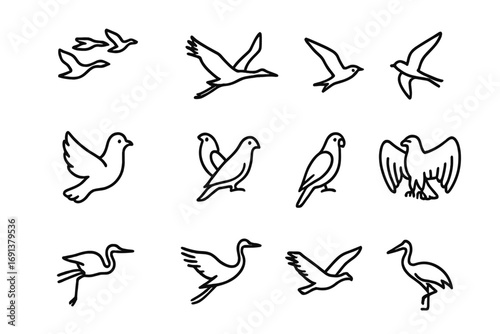 Bird Icons Grid. Outline icon set of bird flocking: geese flying, stork, swallow, pigeon, parrot, eagle,