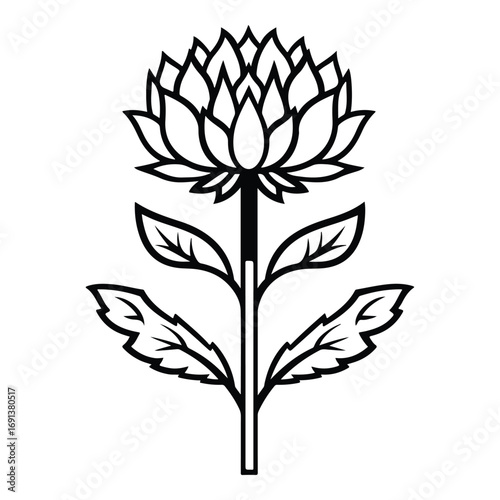 vector illustration of a burdock flower