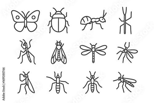 Rainforest Insect Icons. Outline icon set of Rainforest insects: butterfly, beetle, leafcutter ant, stick