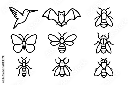 Rainforest Pollinators Icons. Outline icon set of Rainforest pollinators: hummingbird, bat, bee, butterfly,