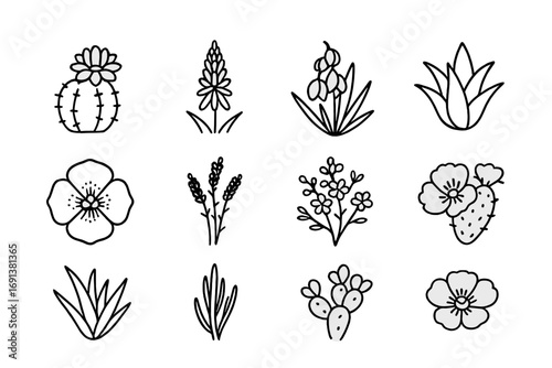 Desert Flower Icons. Outline icon set of Desert blooms: cactus flower, aloe bloom, yucca flower, agave, desert