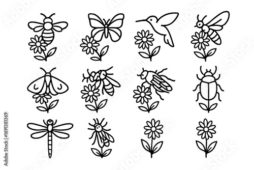 Pollinators with Wildflowers. Outline icon set of Pollinators with wildflowers: bee, butterfly, hummingbird,