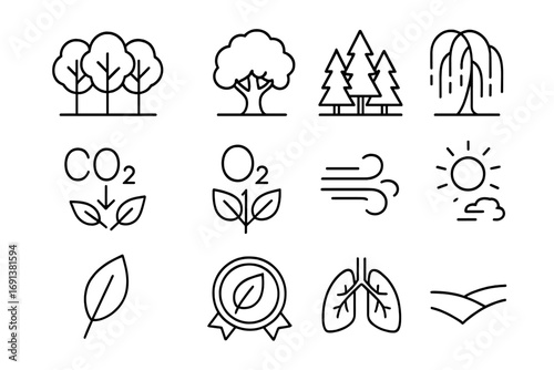 Natural Air Purification Icons. Outline icon set of Air purification by nature: forest grove, single oak tree, pine forest, willow