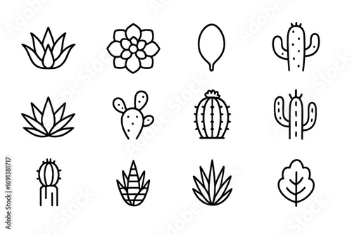 Nature Vibe Icon Set. Outline icon set of nature vibe package design with succulents and cacti: aloe rosette, echeveria plant,