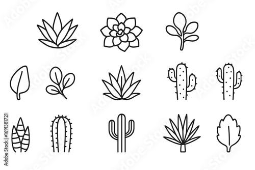 Nature Vibe Icon Set. Outline icon set of nature vibe package design with succulents and cacti: aloe rosette, echeveria plant,