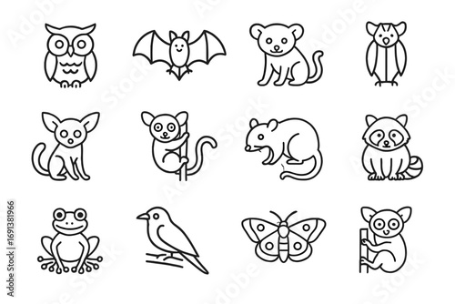 Nocturnal Animal Icons. Outline icon set of nocturnal tree-dwelling animals: owl, bat, kinkajou, flying fox, bush baby, slow loris