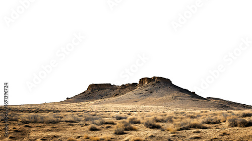 Fototapeta Naklejka Na Ścianę i Meble -  arid desert landscape with two mesa and dry bushes isolated on white background