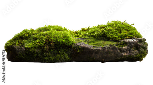 close-up of a rock covered in green moss isolated on white background
