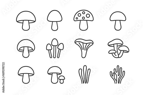 Mushroom line icon set. Fungi collection with different types of fungus like champignon, amanita, chanterelle. Edible and poisonous toadstool outline vector symbols.