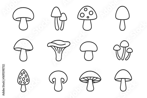 Mushroom icon set with editable stroke. Fungi line art collection. Vector symbols for web, apps. Outline illustration of champignon, amanita, chanterelle, morel. Simple fungus pictograms.