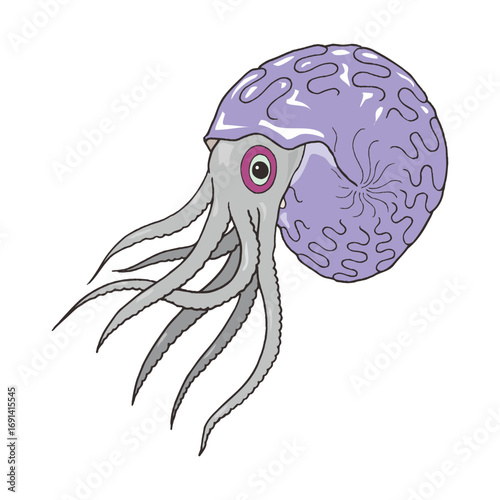 Vector illustration of an octopus sea animal. Plain white background.