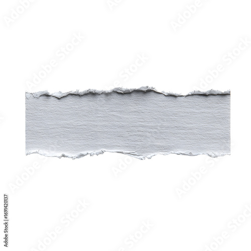 Torn paper strip, light gray isolate on white background