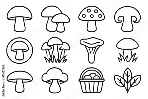 Set of Mushroom Line Icons, Outline Signs for Graphic Design, Web Design, Apps, Advertising, Cards, Vector Cartoon Illustrations with Transparent Background, Various Mushroom Types