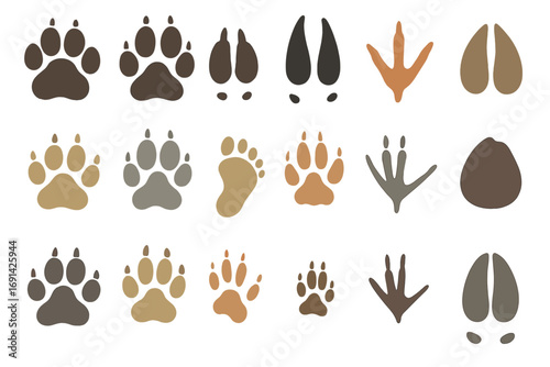 Animal tracks vector set. Big collection of footprints. Paw prints of dog, wolf, cat, fox, bear. Hoof trail of deer, pig. Bird foot. Wildlife, forest animal flat icon pack.