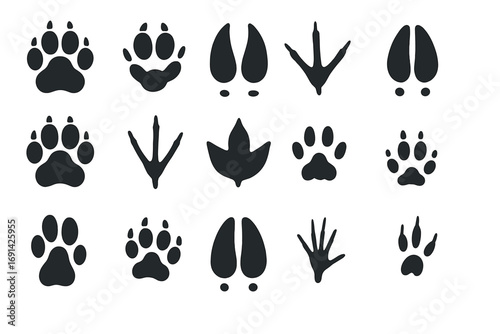 Animal tracks vector set. Paw print collection of forest animals. Dog, cat, bear, wolf, deer, bird, fox footprint silhouette icon for hunting or wildlife trail design.