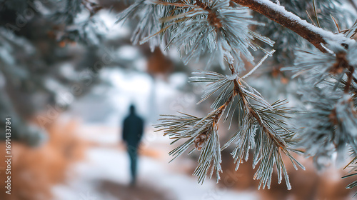 Winter Snow Tranquility: Person Walking Through Frosty Pine Branches in Scenic Outdoors