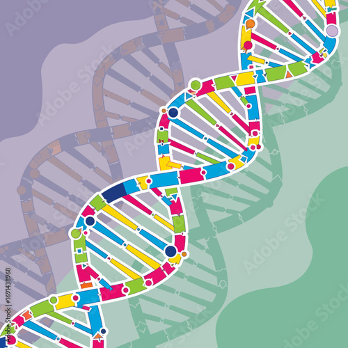 A colorful, stylized illustration of a DNA double helix, representing genetics and molecular biology.