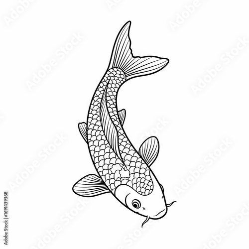 A detailed black and white line drawing of a koi fish swimming upwards with detailed scales and flowing fins.