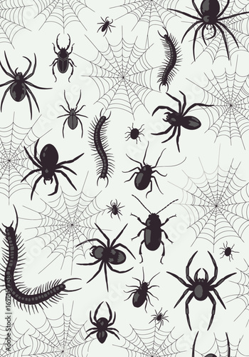 Spooky Arachnid Assemblage A Creepy Collection of Spiders and Webs for Halloween