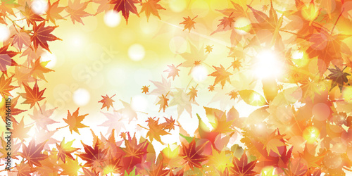 秋　紅葉　風景　背景	