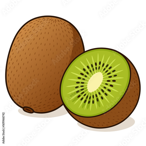 vector illustration, kiwi fruit, HD image, transparent background PNG